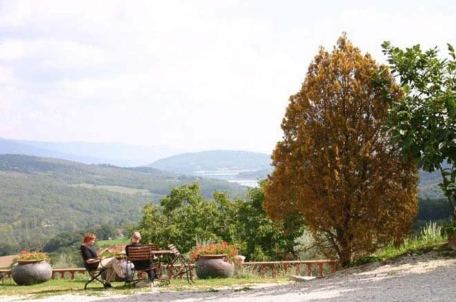Agriturismo Terra Di Michelangelo カプレーゼ・ミケランジェロ 部屋 写真